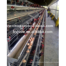 Discount poultry house design for layers in kenya farm